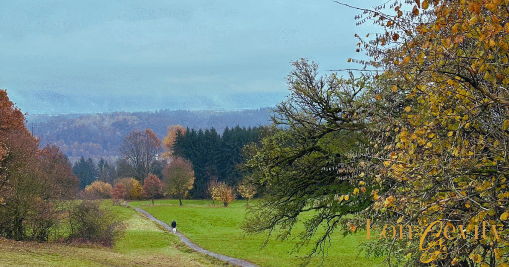 Longevity Journal Herbst-Alltag