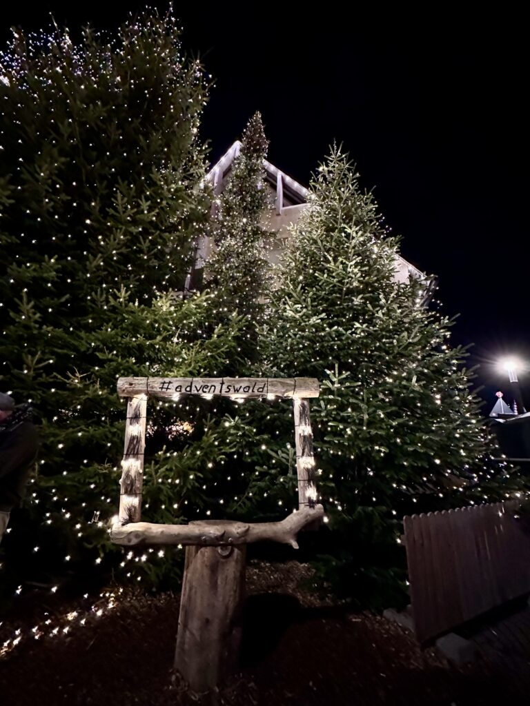 Weihnachtsmärkte in Baden-Württemberg Ruderslberger Adventswald